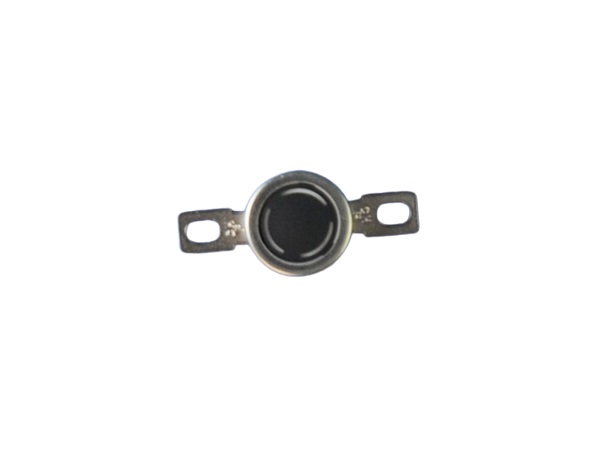 Ricoh AW11-0112 (AW110112) Rear Thermostat