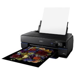 Epson SureColor P800