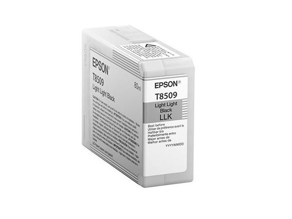 Epson T850900 Light Light Black Ink Cartridge